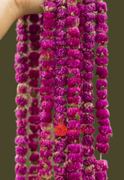 Nepali Makhamali Mala in USA