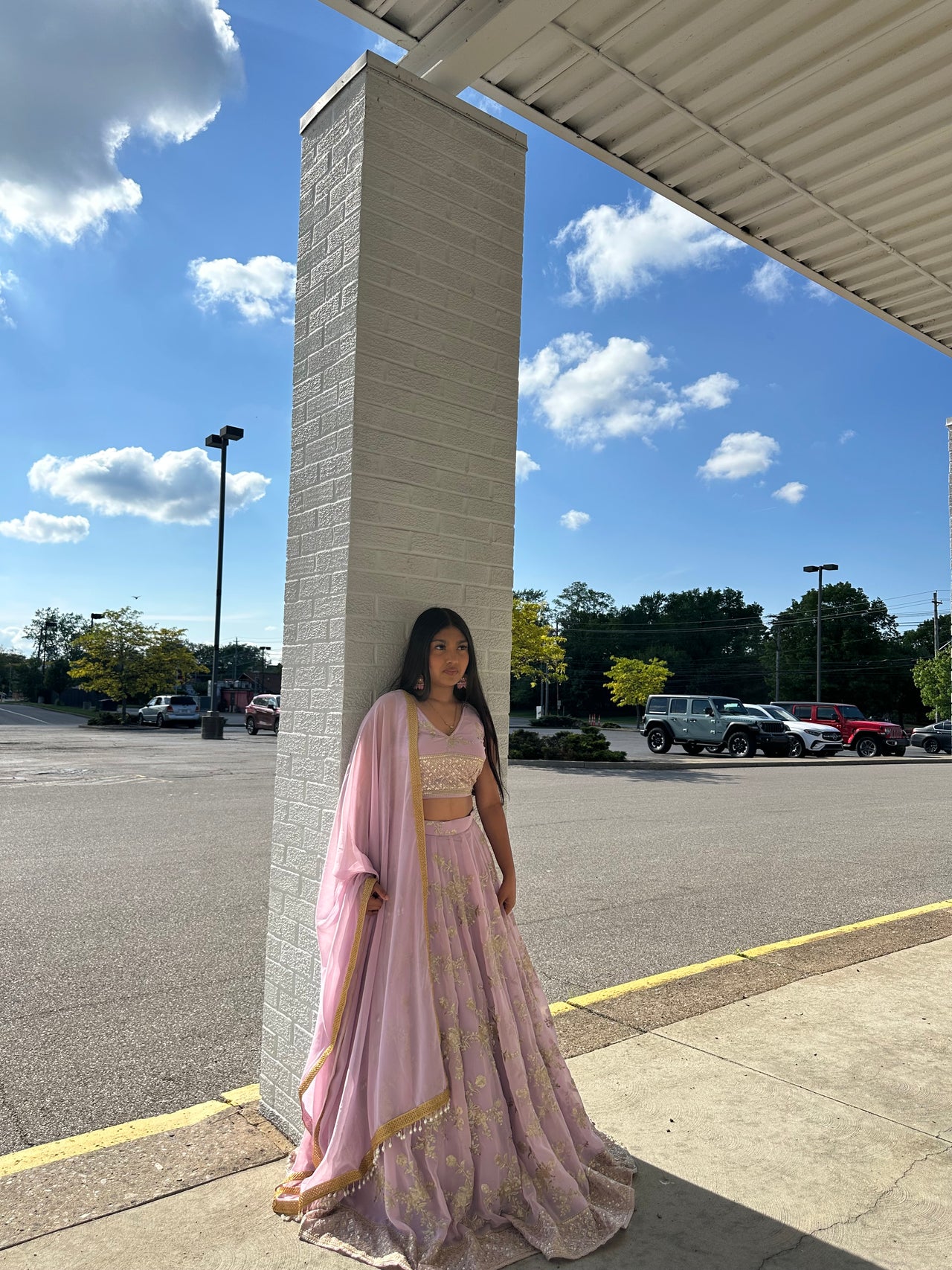 DUSTY PINK High Quality Lehenga