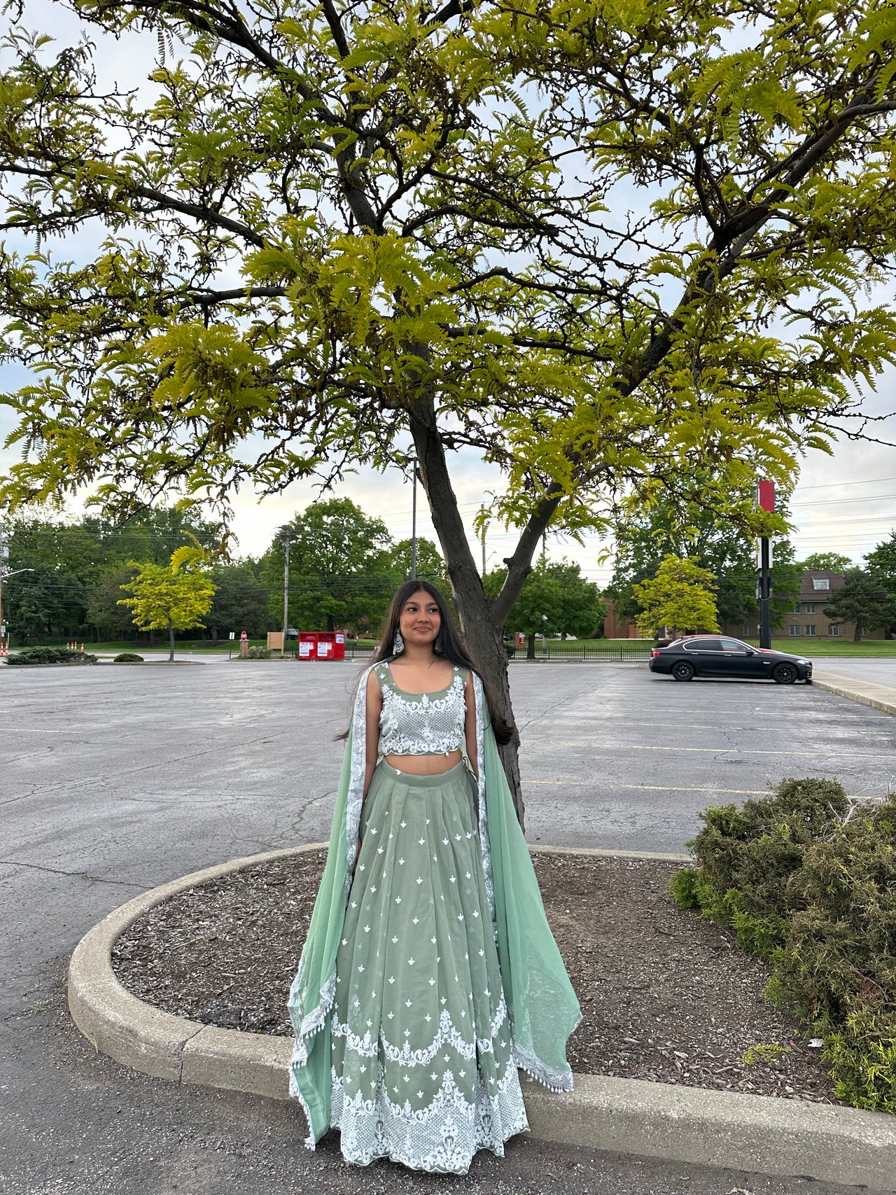 Sage Green High Quality Lehenga